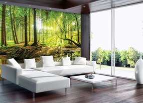 Fototapet - Pădurea însorită (152,5x104 cm), în 8 de alte dimensiuni noi
