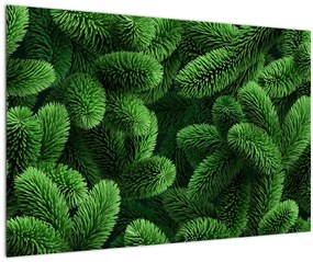 Tablou - Ramuri de conifere (90x60 cm)