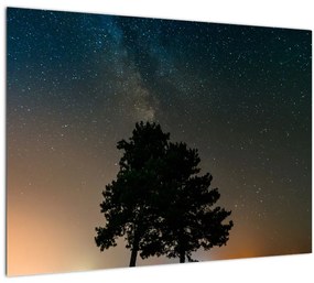 Tablou cu cerul nocturn și copaci (70x50 cm), în 40 de alte dimensiuni noi