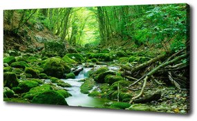 Imprimare tablou canvas Stream în pădure