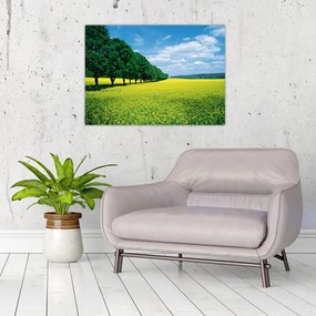 Tablou - Câmp cu alei (70x50 cm)