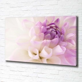 Print pe pânză Dahlia alb