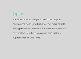 Plafoniera cu spot directionabil Jupiter 1, alb