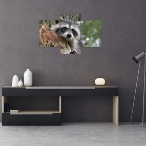 Tablou - Raton (90x60 cm)