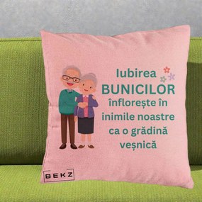 Cadou pentru Bunici - Perna Personalizata Bunicii Iubirea Infloreste Cuplu Senior Teal, 40x40 cm, Roz, Husa Detasabila, Perna Inclusa, BEKZ®