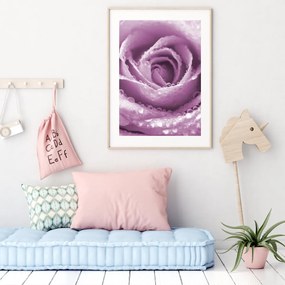 Poster - Trandafir (A4)