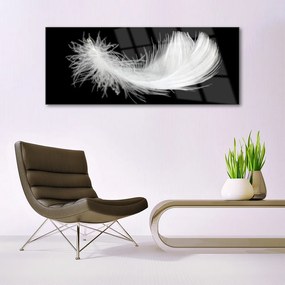 Tablouri acrilice Feather Art White