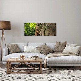 Tablou - Veverița (120x50 cm)