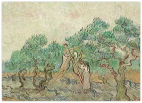 Tablou pe sticlă - Vincent van Gogh, The Olive Orchard, reproducere (70x50 cm)