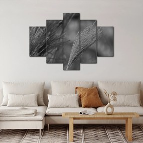 Tablou - Iarbă de pampas uscată (150x105 cm)