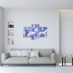 Tablou - Fluturi iarna (90x60 cm)