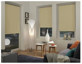 Jaluzea în culoare naturală 42,5x150 cm Mini Termo – Gardinia