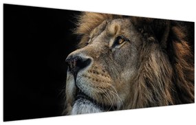 Tablou - Leul maiestuos (120x50 cm)