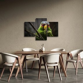 Tablou cu papagal (90x60 cm)