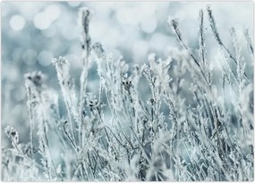 Tablou - Magia iernii (70x50 cm)