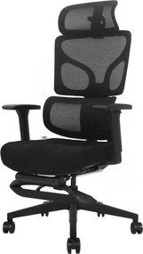 AEROFORM PRO – Scaun Ergonomic Premium, Suport Lombar cu arc, Cotiere 3D, Tetieră reglabilă, Șezut glisant, Suport pentru picioare extensibil, Negru