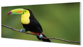 Tablouri pe sticlă papagal colorat de pe o ramură
