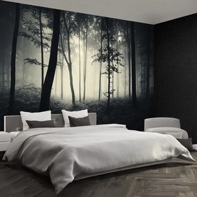 Fototapet Misty Forest