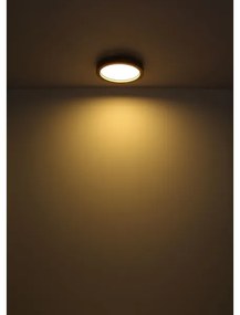 Plafonieră LED RGBW dimabilă BRANZA LED/24W/230V Globo 41374-24 + telecomandă