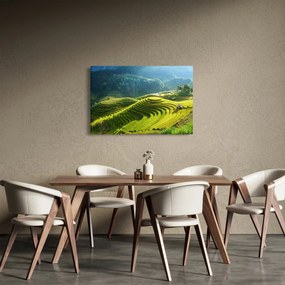 Tablou - Concert Terase de orez (90x60 cm)