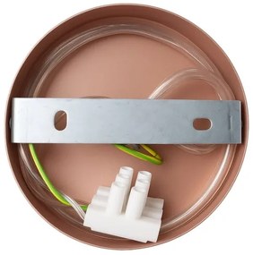 Aplica de perete CAPITAL 1xGX53/15W/230V aur roz