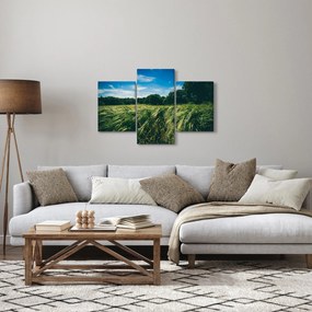 Tablou cu linca și pădure (90x60 cm)