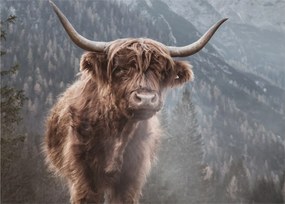 Tablou - Vaca Highlander (70x50 cm)