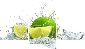 Tablou - Limes (90x60 cm)