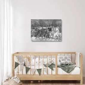 Tablou pe sticlă - Vulpe în timpul iernii (70x50 cm)