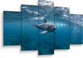 Tablou - Delfin sub apă (150x105 cm)
