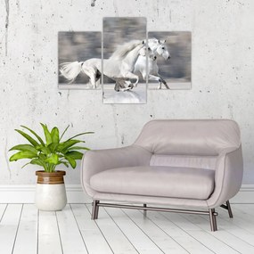 Tablou - Cai albi în timpul iernii (90x60 cm)