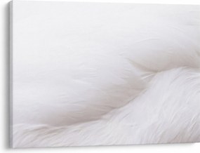 Tablou - Detalii pene (70x50 cm)