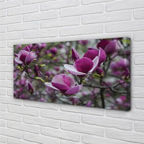 Tablouri canvas magnolie violet