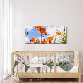 Tablou cu macii (120x50 cm)