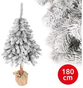 Pom de crăciun PIN 180 cm brad