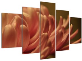 Tablou cu detailu florii (150x105 cm)