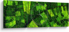 Tablou - Detaliu frunze (cu ceas) (90x30 cm)