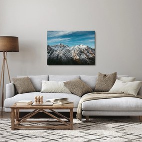 Tablou cu vârfuri înzăpeziți, Fiordland (70x50 cm)