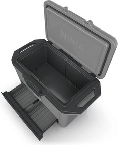 Lada frigorifica Ninja FrostVault FB151EUGY, 47 l, Pasiva, 80 doze, Pastreaza gheata pana la 6 zile, Compartiment uscat, Gri