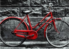 Tablou - Bicicleta istorică (70x50 cm)