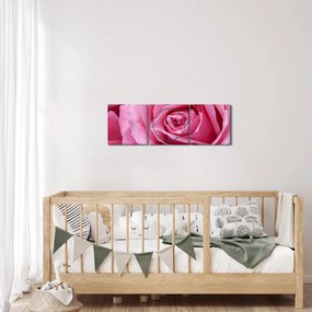 Tablou cu trandafir (cu ceas) (90x30 cm)