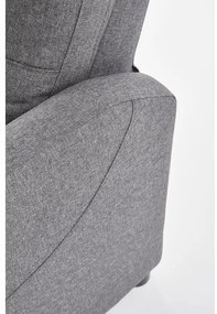 Fotoliu reglabil FELIPE, gri