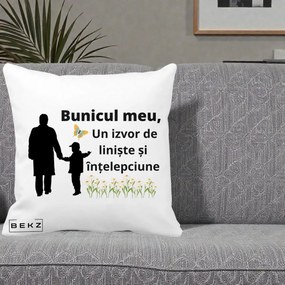 Cadou pentru Bunic - Perna Personalizata Bunicul Meu Izvor de Liniste cu Fluture si Baietel, 40x40 cm, Alba Mata, Husa Detasabila, Perna Inclusa, BEKZ®