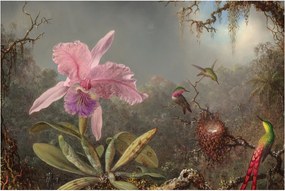 Tablou - Martin Johnson Heade, Cattleya Orchid and Three Hummingbirds, reproducere (90x60 cm)