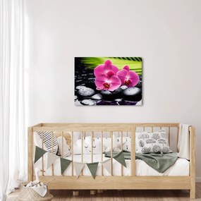 Tablou - Orhidee roz cu frunze de palmier (70x50 cm)