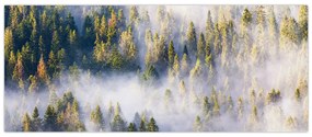 Tablou - Copac în ceață (120x50 cm)