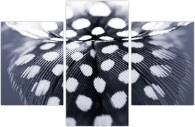 Tablou - Pană (90x60 cm)