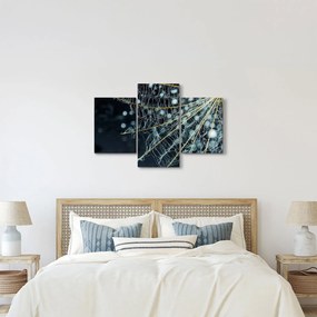 Tablou - Floare cu pânză de pâianjen (90x60 cm)