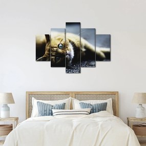 Tablou cu pisica (150x105 cm)