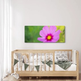Tablou - floare de câmp (120x50 cm)